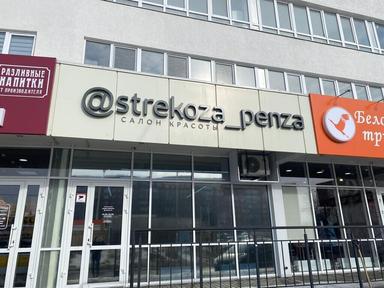 Стрекоза Арб