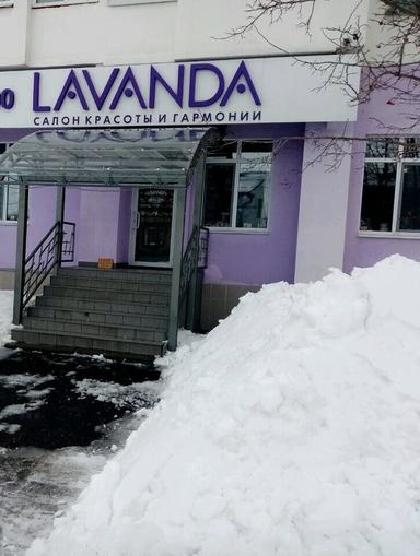 LAVANDA
