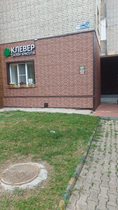 Клевер 