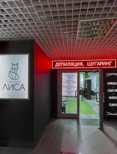 Лиса