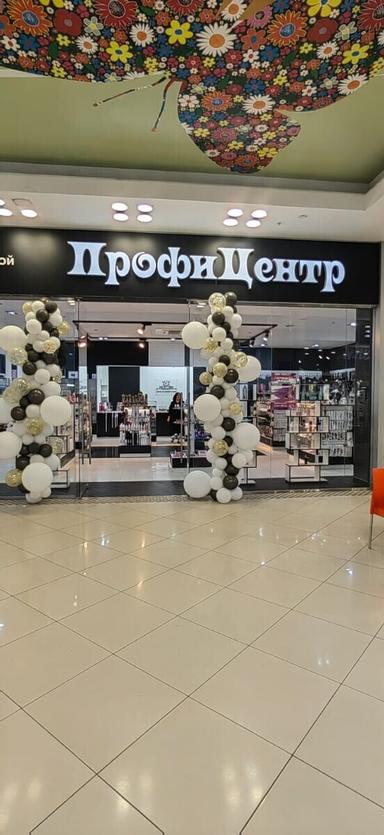 Профи Центр