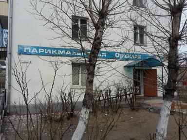 Орхидея