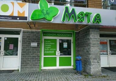 Мята