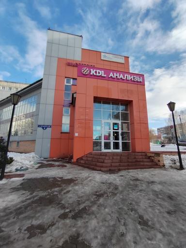 Орхидея
