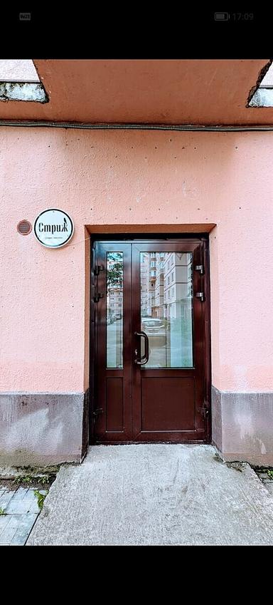 Стриж