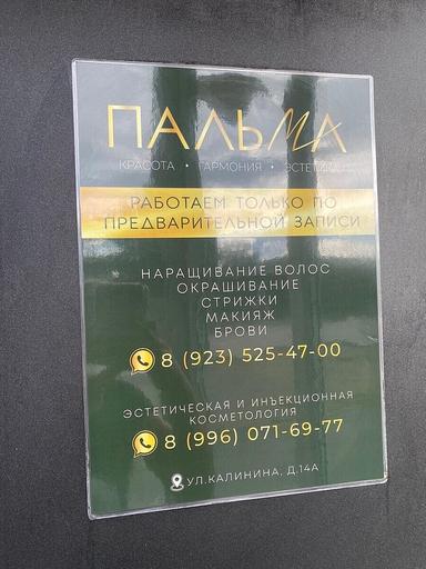 Пальма