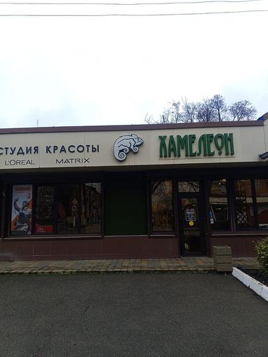 Хамелеон
