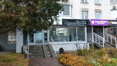 Светланы Левиной студия
