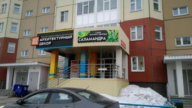 ЧМ Петрик Лариса Анатольевна