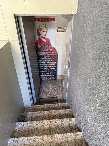 Вита