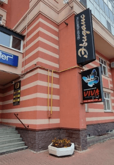 Эвиданс