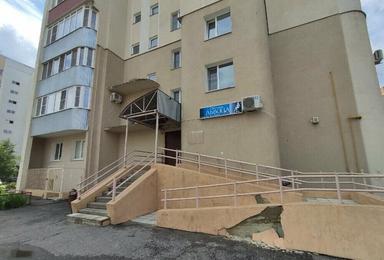 Светская львица
