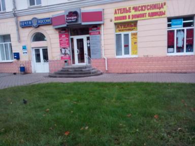 Полис Profi