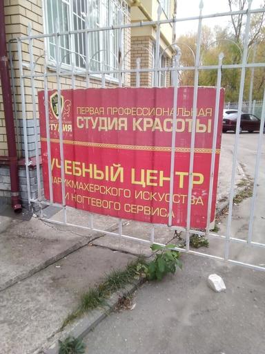 Первая проф.студия