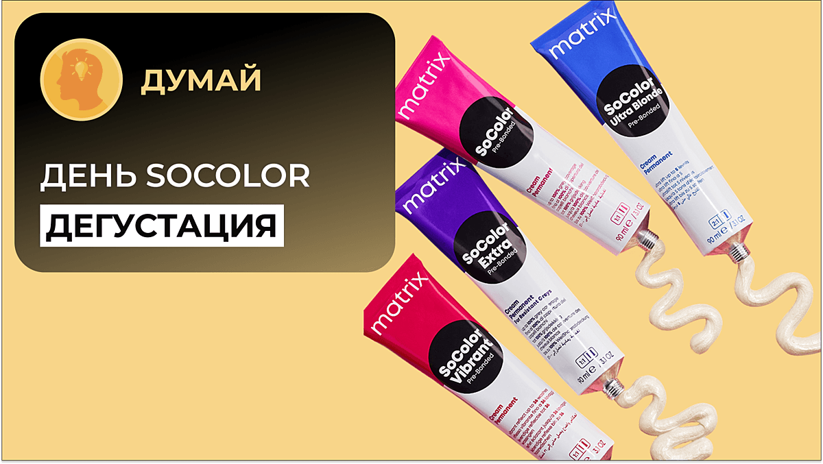 День красителя SoColor