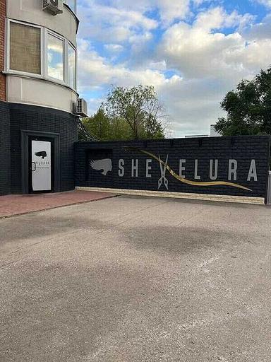 Shevelura