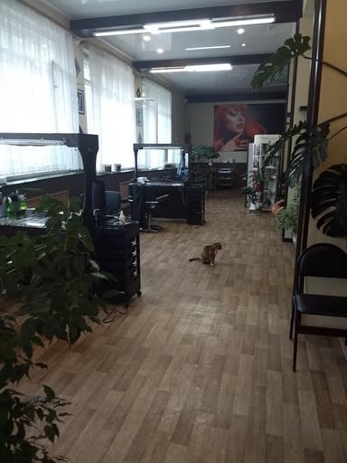 Аленушка